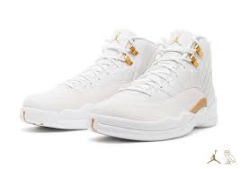 JORDAN - AJ12 "Drake"